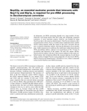 Báo cáo khoa học: Nop53p, an essential nucleolar protein that interacts with Nop17p and Nip7p, is required for pre-rRNA processing in Saccharomyces cerevisiae