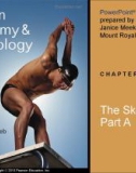 Lecture Human anatomy and physiology - Chapter 7: The skeleton (part a)