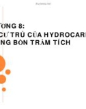 SỰ CƯ TRÚ CỦA HYDROCARBON TRONG BỒN TRẦM TÍCH