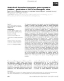 Báo cáo khoa học: Analysis of dopamine transporter gene expression pattern ) generation of DAT-iCre transgenic mice