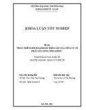 Khóa luận tốt nghiệp Kinh tế: Phát triển kinh doanh bất động sản của Công ty Cổ phần Xây dựng Sông Hồng