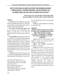 Bước đầu đánh giá hiệu quả điều trị pembrolizumab ở bệnh nhân u lympho Hodgkin tái phát kháng trị tại Bệnh viện Chợ Rẫy: Báo cáo bốn trường hợp