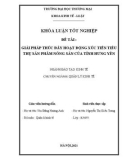 Khóa luận tốt nghiệp Kinh tế: Giải pháp thúc đẩy hoạt động xúc tiến tiêu thụ sản phẩm nông sản của tỉnh Hưng Yên