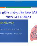 Bài giảng Tối ưu hóa giãn phế quản kép LABA/ LAMA theo GOLD 2023 - TS.BS. Nguyễn Như Vinh