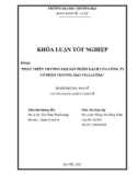 Khóa luận tốt nghiệp Kinh tế: Phát triển thương mại sản phẩm gạch của Công ty CPTM Viglacera