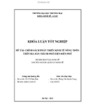 Khóa luận tốt nghiệp Kinh tế: Chính sách phát triển kinh tế nông thôn trên địa bàn thành phố Điện Biên Phủ