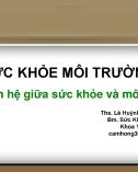 Bài giảng Sức khỏe môi trường: Mối quan hệ giữa sức khỏe và môi trường - Ths. Lê Huỳnh Thị Cẩm Hồng