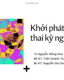 Bài giảng Khởi phát chuyển dạ thai kỳ nguy cơ cao - Ts Nguyễn Hồng Hoa