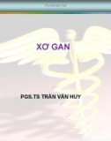 Bài giảng Xơ gan - PGS.TS Trần Văn Huy