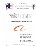 Tiểu luận Thương mại điện tử: Tìm hiểu về www.Alibaba.com