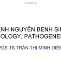 Bài giảng Bệnh nguyên bệnh sinh (etiology, pathogenesis) - PGS.TS. Trần Thị Minh Diễm