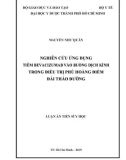 Luận án tiến sĩ Y học: Nghiên cứu ứng dụng tiêm bevacizumab vào buồng dịch kính trong điều trị phù hoàng điểm đái tháo đường