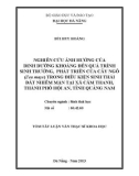 Tóm tắt luận văn Thạc sĩ Khoa học: Nghiên cứu ảnh hưởng của dinh dưỡng khoáng đến quá trình sinh trưởng, phát triển của cây ngô (Zea mays) trong điều kiện sinh thái đất nhiễm mặn tại xã Cẩm Thanh, thành phố Hội An, tỉnh Quảng Nam