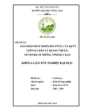 Khóa luận tốt nghiệp: Giải pháp phát triển bền vững cây quýt trên địa bàn xã Quang Thuận, huyện Bạch Thông, tỉnh Bắc Kạn