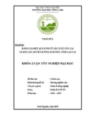 Khóa luận tốt nghiệp: Đánh giá hiệu quả kinh tế sản xuất dứa tại xã Bản Lầu, huyện Mường Khương, tỉnh Lào Cai