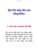 Hệ Hô hấp Bò sát (Reptilia)