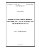 Luận án Tiến sĩ Y học: Nghiên cứu một số chỉ số hình thái, chức năng thận ở bệnh nhân chết não do chấn thương sọ não