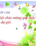 Bài giảng Hình học 11 - Tiết 15: Hai đường thẳng chéo nhau và hai đường thẳng song song