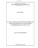 Luận văn Thạc sĩ Kinh tế: Các yếu tố ảnh hưởng đến triển khai thành công hệ thống hoạch định nguồn lực doanh nghiệp (Enterprise Resource Planning - ERP)