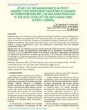 Study on the antagonistic activity against two pathogenic bacteria in humans of Streptomyces MIP_L26 isolated from soil in the root zone of the May Chang tree (Litsea cubeba)