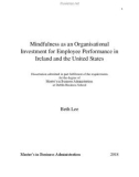 Master Thesis in Economics: Mindfulness as an Organisational Investment for Employee Performance inIreland and the United States