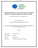 Master Thesis in Economics: Financial institutions have not assisted in the development and growth of small and medium scale industries in India