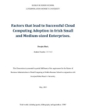 Master Thesis in Economics: Factors that lead to successful cloud computing adoption in Irish small and medium-sized enterprises