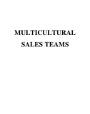 Master Thesis in Economics: How to manage the multicultural sales teams