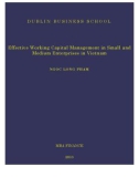 Master Thesis in Economics: Effective working capital management in small and medium enterprises in Vietnam