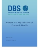 Master Thesis in Economics: Copper as key indicator of economic health