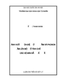 Luận án Tiến sĩ Vật lý: Ảnh hưởng của điện tử giam cầm và phonon giam cầm lên một số tính chất quang trong các hệ bán dẫn thấp chiều