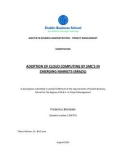 Master Thesis in Economics: Adoption of cloud computing by SME's in emerging markets (Brazil)