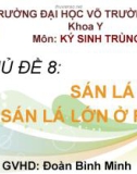 Thuyết trình môn Ký sinh trùng: Sán lá phổi, sán lá lớn ở ruột