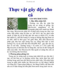 Thực vật gây độc cho cá