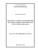 Luận văn Thạc sĩ Sinh học ứng dụng: Nhân dòng và thiết kế vector biểu hiện gen mã hóa anthocyanidin reductase của cây chè (Camellia sinensis)