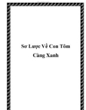 Sơ Lược Về Con Tôm Càng Xanh