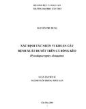 Luận án Tiến sĩ ngành Nuôi trồng thủy sản: Xác định tác nhân vi khuẩn gây bệnh xuất huyết trên cá bống kèo (Pseudapocryptes elongatus)