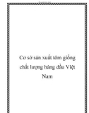 Cơ sở sản xuất tôm giống chất lượng hàng đầu Việt Nam