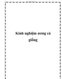 Kinh nghiệm ương cá giống