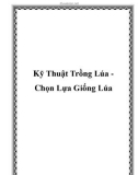 Kỹ Thuật Trồng Lúa Chọn Lựa Giống Lúa