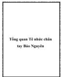 Tổng quan Tê nhức chân tay Bảo Nguyên