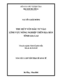 Tóm tắt Luận văn Thạc sĩ Kinh tế: Thu hút vốn đầu tư vào lĩnh vực Nông nghiệp trên địa bàn tỉnh Gia Lai