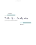 Thiên địch của rầy nâu