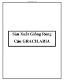 Sản Xuất Giống Rong Câu GRACILARIA