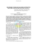 Sinh trưởng và năng suất của giống cà phê chè TN2 ghép trên 3 loại gốc ghép khác nhau tại Sơn La