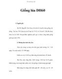 Giống lúa DH60