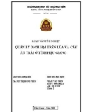 Luận văn tốt nghiệp Công nghệ thông tin: Quản lý dịch hại trên lúa và cây ăn trái ở tỉnh Hậu Giang