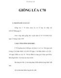 GIỐNG LÚA C70