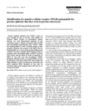 Báo cáo khoa học:  Identification of a putative cellular receptor 150 kDa polypeptide for porcine epidemic diarrhea virus in porcine enterocytes