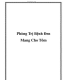 Phòng Trị Bệnh Đen Mang Cho Tôm